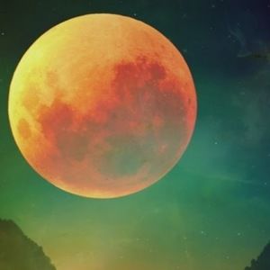 Meet your Posher, Haya